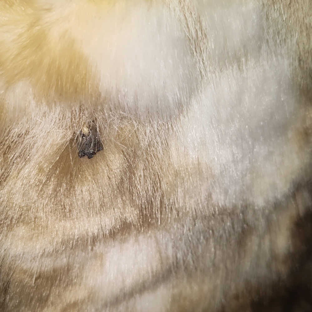 Day Trip Faux Fur Calico Color Brown White Yellow Size Large - Picture 5 of 9